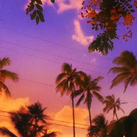 Sensualidad - BEELE beat | 99bpm F♯m